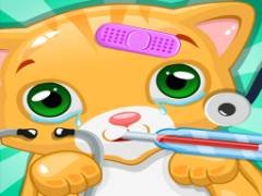 고양이 의사, 내 고양이를 구해줘 - crazygames