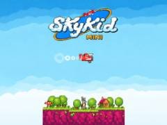 미니 스카이 헬리콥터 - crazygames