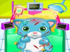 ASMR 고양이 의사 클리닉 - crazygames